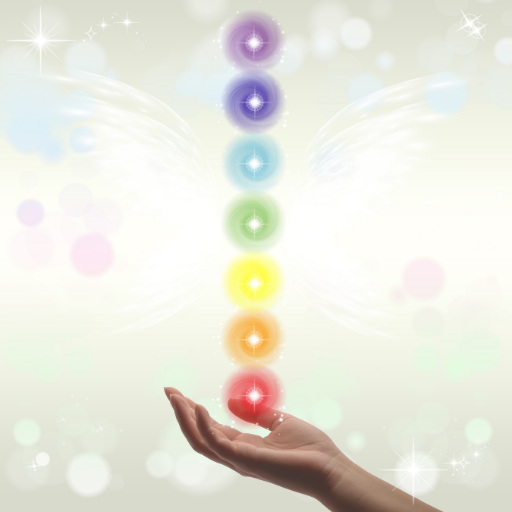 In this blog post, learn about the 7 chakras explained. The 7 chakras is a very important part of the human body and you will learn the basics of the 7 chakras.