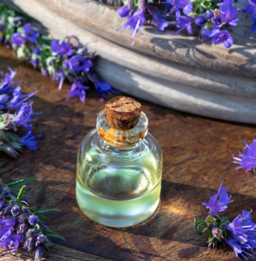 Hyssop Essential Oil