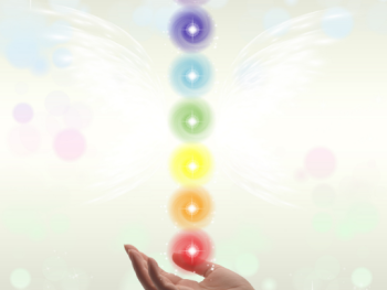 In this blog post, learn about the 7 chakras explained. The 7 chakras is a very important part of the human body and you will learn the basics of the 7 chakras.